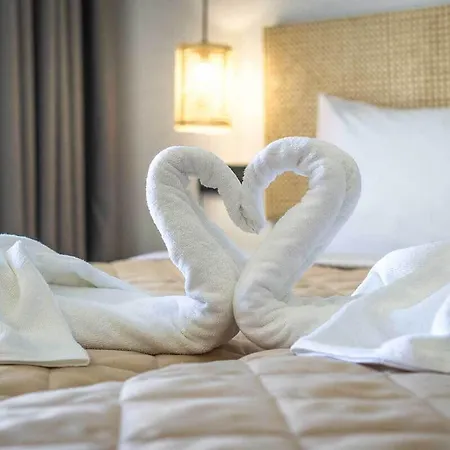 Hotel Arion 4*